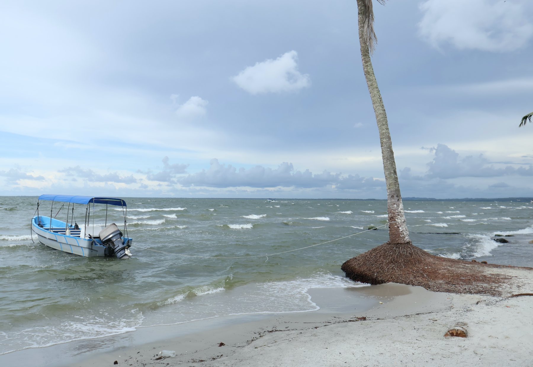 Punta de Palma: el paraíso caribeño escondido en Puerto Barrios, Izabal